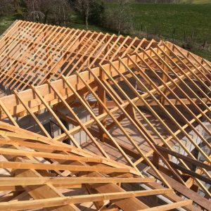 Charpente traditionnelle, Plateau d'Hymes 2019