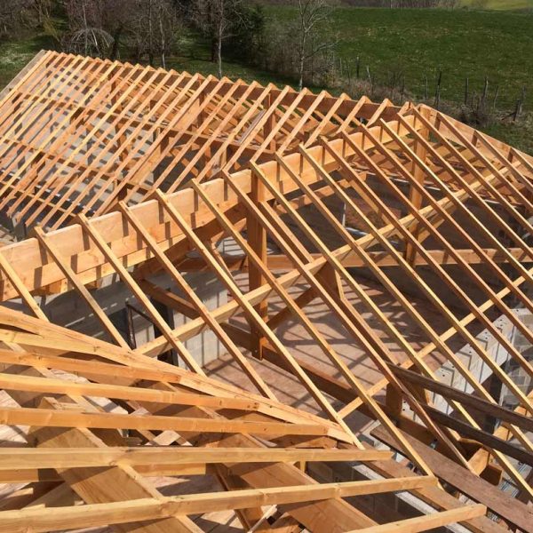 Charpente traditionnelle, Plateau d'Hymes 2019