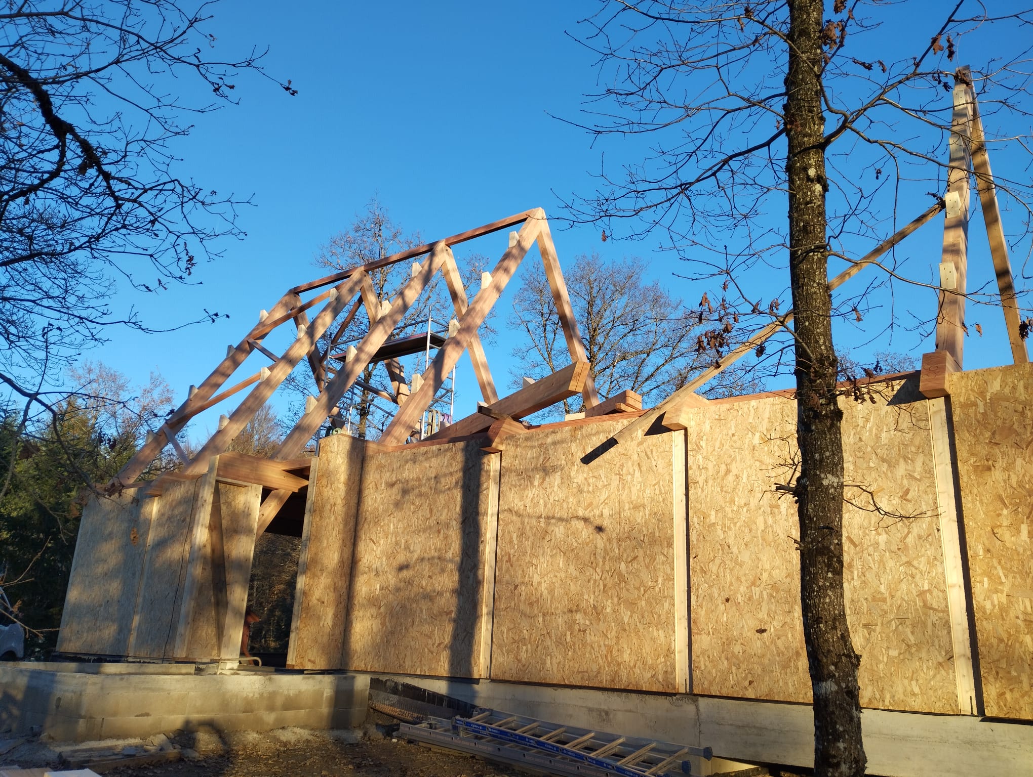 img 20241204 wa0006(1)