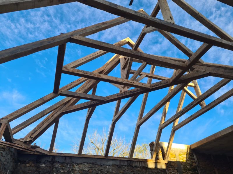 img 20251107 wa0006 img 20251107 wa0006