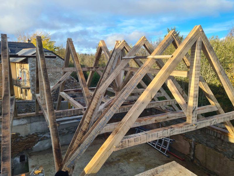 img 20251107 wa0009 img 20251107 wa0009