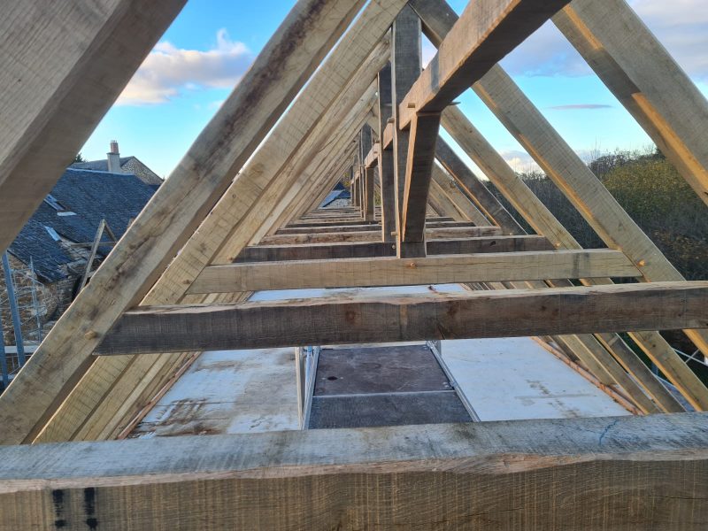 img 20251117 wa0005 img 20251117 wa0005