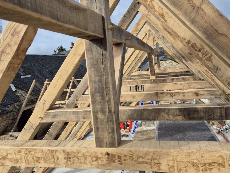 img 20251117 wa0007 img 20251117 wa0007